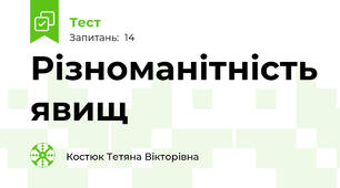 Різноманітність явищ