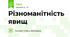 Різноманітність явищ