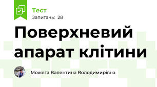 Поверхневий апарат клітини