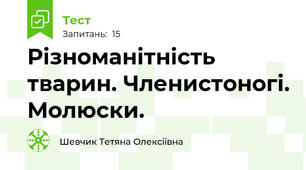Різноманітність тварин. Членистоногі. Молюски.