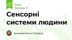 Сенсорні системи людини