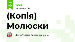 (Копія) Молюски 