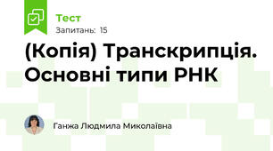 (Копія) Транскрипція. Основні типи РНК