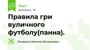 Правила гри вуличного футболу(панна).