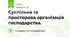 Суспільна та просторова організація господарства.