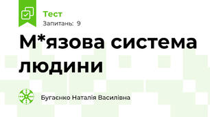 М*язова система людини