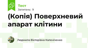 (Копія) Поверхневий апарат клітини