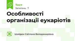 Особливості організації еукаріотів