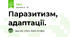 Паразитизм, адаптації.