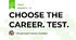 CHOOSE THE CAREER. TEST.