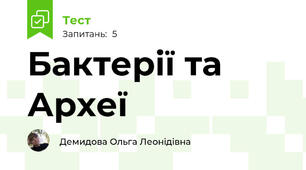 Бактерії та Археї