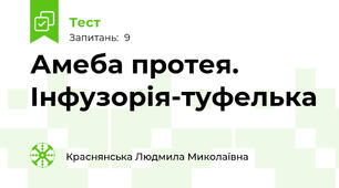 Амеба протея. Інфузорія-туфелька