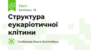  Структура еукаріотичної клітини