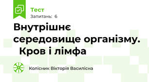 Внутрішнє середовище організму.   Кров і лімфа