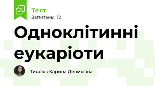 Одноклітинні еукаріоти