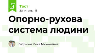 Опорно-рухова система людини 