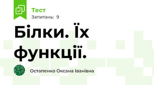 Білки. Їх функції.