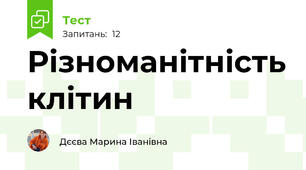 Різноманітність клітин                     