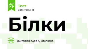 Білки