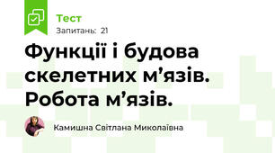 Функції і будова скелетних м’язів. Робота м’язів.
