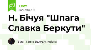 Н. Бічуя "Шпага Славка Беркути"