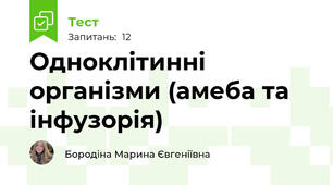 Одноклітинні організми (амеба та інфузорія)