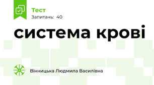 система крові