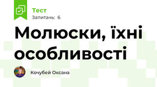 Молюски, їхні особливості