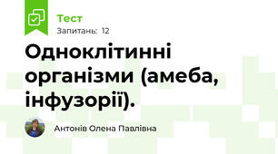 Одноклітинні організми (амеба, інфузорії).