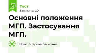 Основні положення МГП. Застосування МГП.