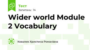 Wider world Module 2 Vocabulary