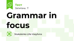 Grammar in focus