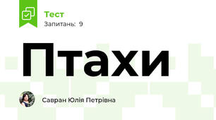Птахи