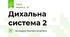 Дихальна система 2