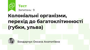 Колоніальні організми, перехід до багатоклітинності (губки, ульва)
