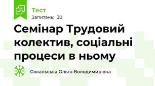 Семінар Трудовий колектив, соціальні процеси в ньому