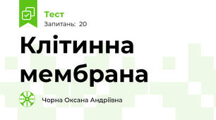 Клітинна мембрана