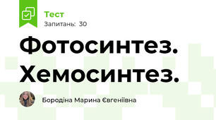 Фотосинтез. Хемосинтез. 