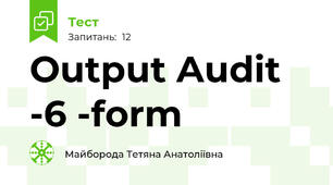 Output Audit -6 -form
