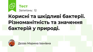 Корисні та шкідливі бактерії. Різноманітність та значення бактерій у природі.