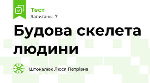 Будова скелета людини