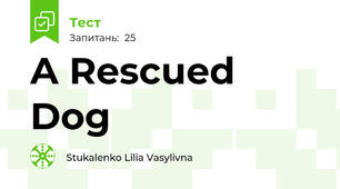 A Rescued Dog