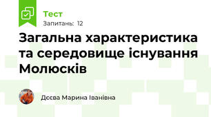 Загальна характеристика та середовище існування Молюсків