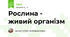 Рослина - живий організм