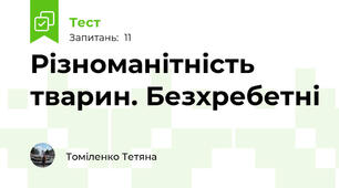 Різноманітність тварин. Безхребетні
