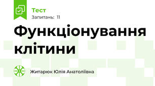 Функціонування клітини
