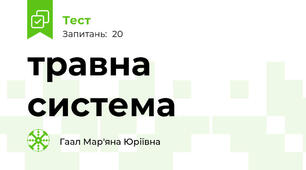травна система 