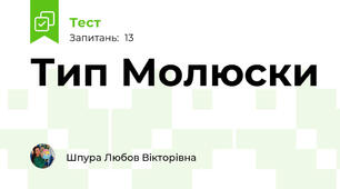 Тип Молюски