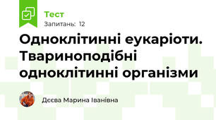 Одноклітинні еукаріоти. Твариноподібні одноклітинні організми