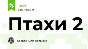 Птахи 2